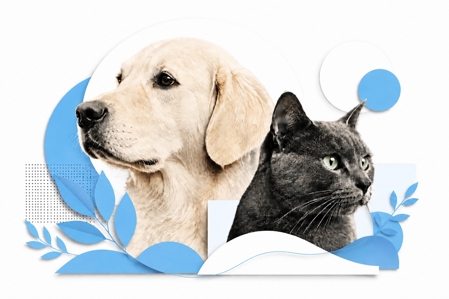Illustrative paper collage of a dog and cat